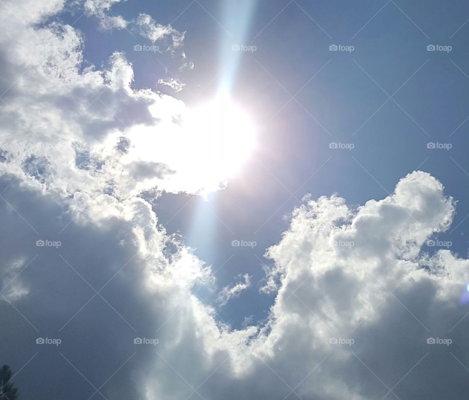 sun rays