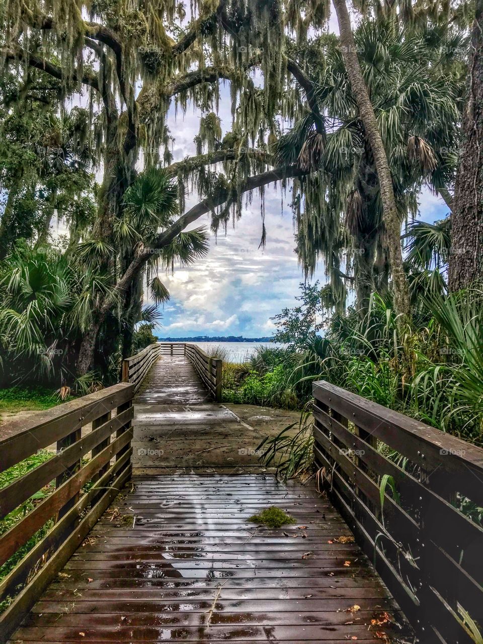 Outlook over Lake Dora