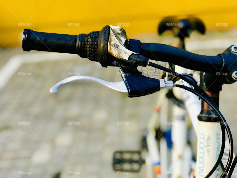 Two wheels, one love!🚲