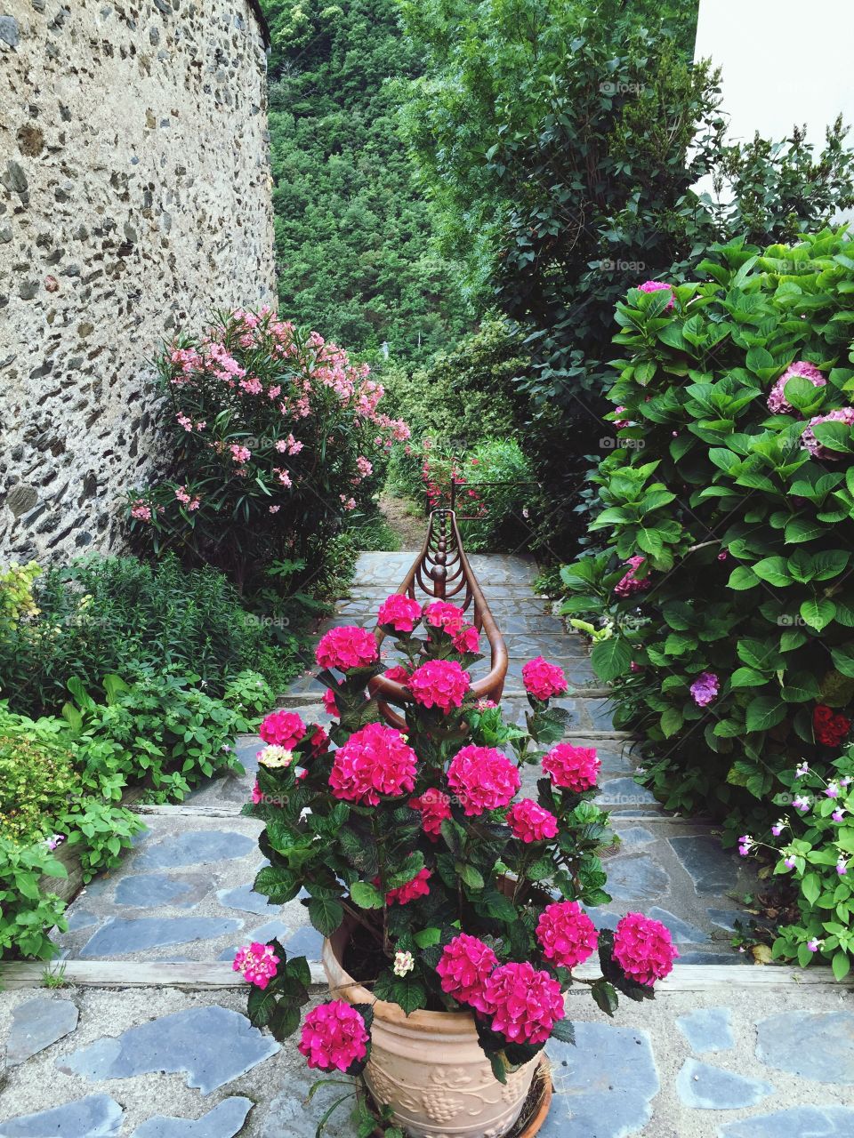 High angle view of potted flowers