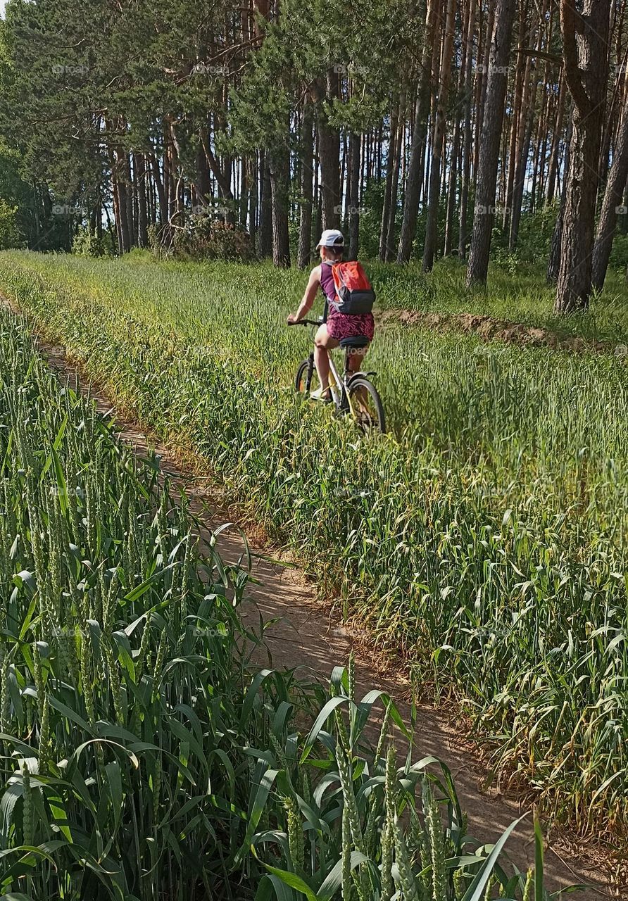 beautiful country landscape, green field and rural road and girl riding on a bike, summer time