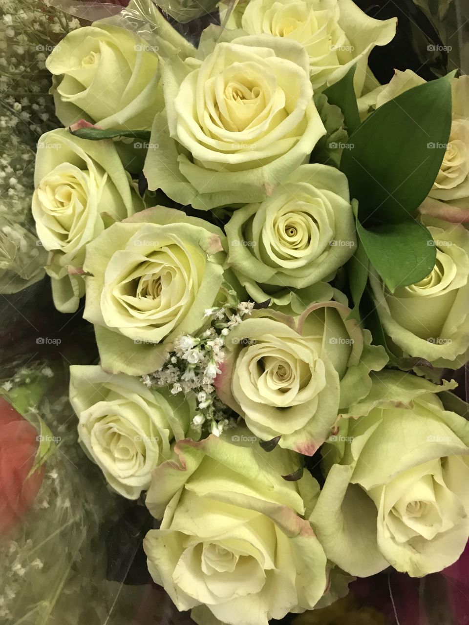 Bouquet of white roses. 