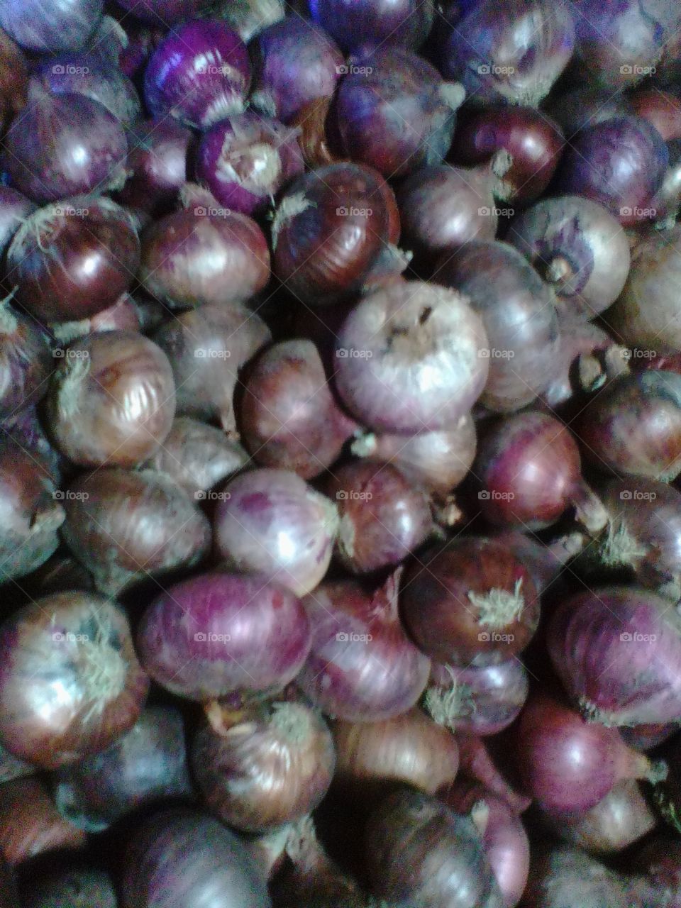 onions