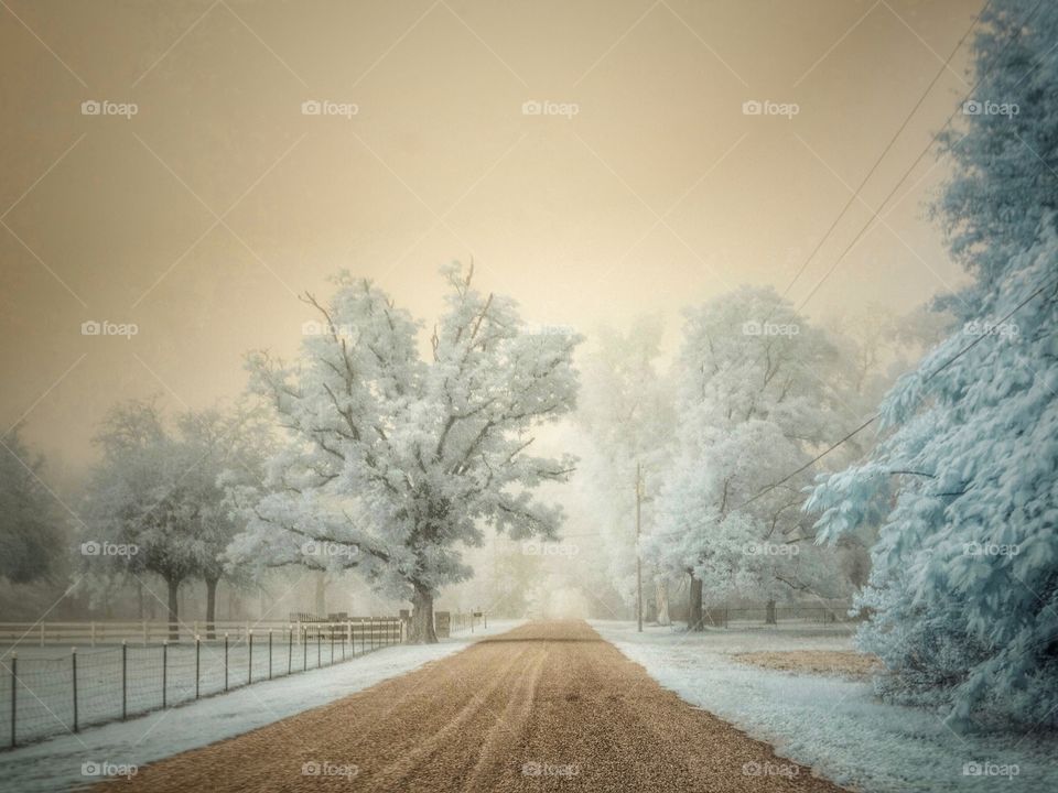 Empty road in winter