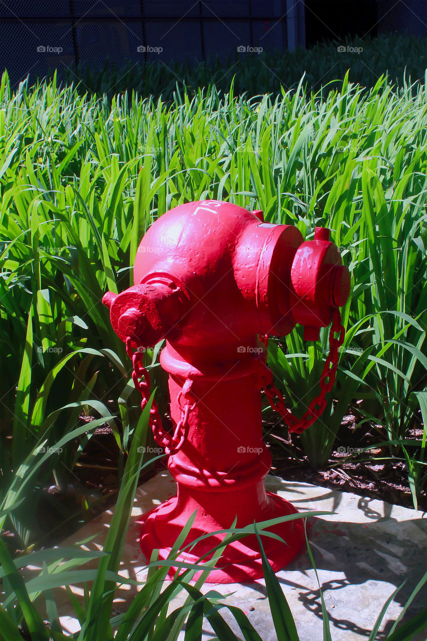 Red fire hydrant
