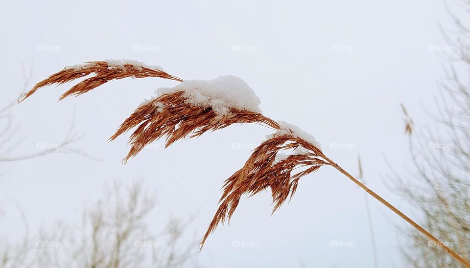 Winter vs Autumn ❄️🍁