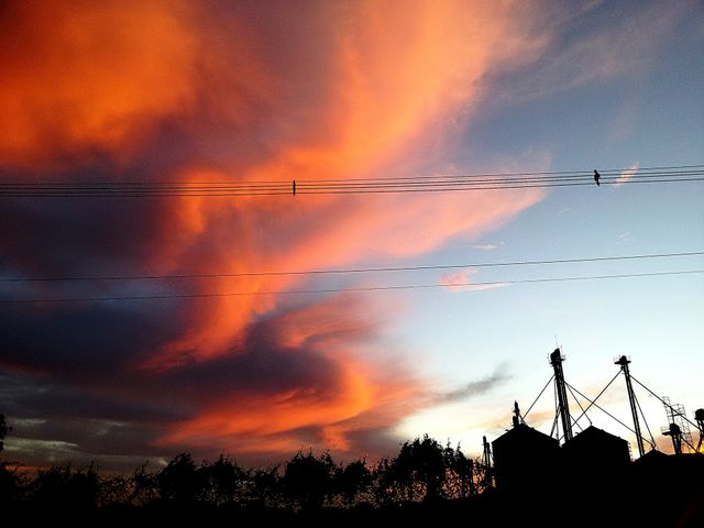 Orange Clouds