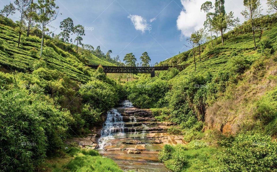 Bridge, trees and small waterfalls, Sri Lanka