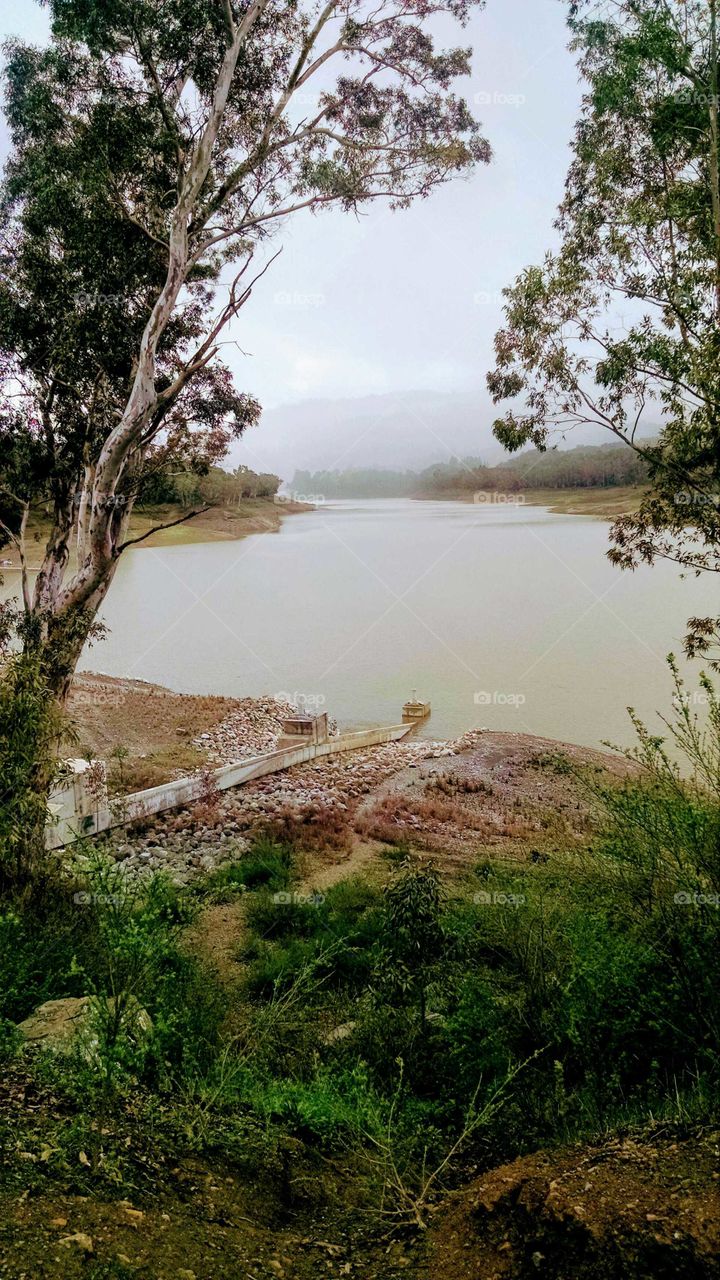 Down to the water's edge