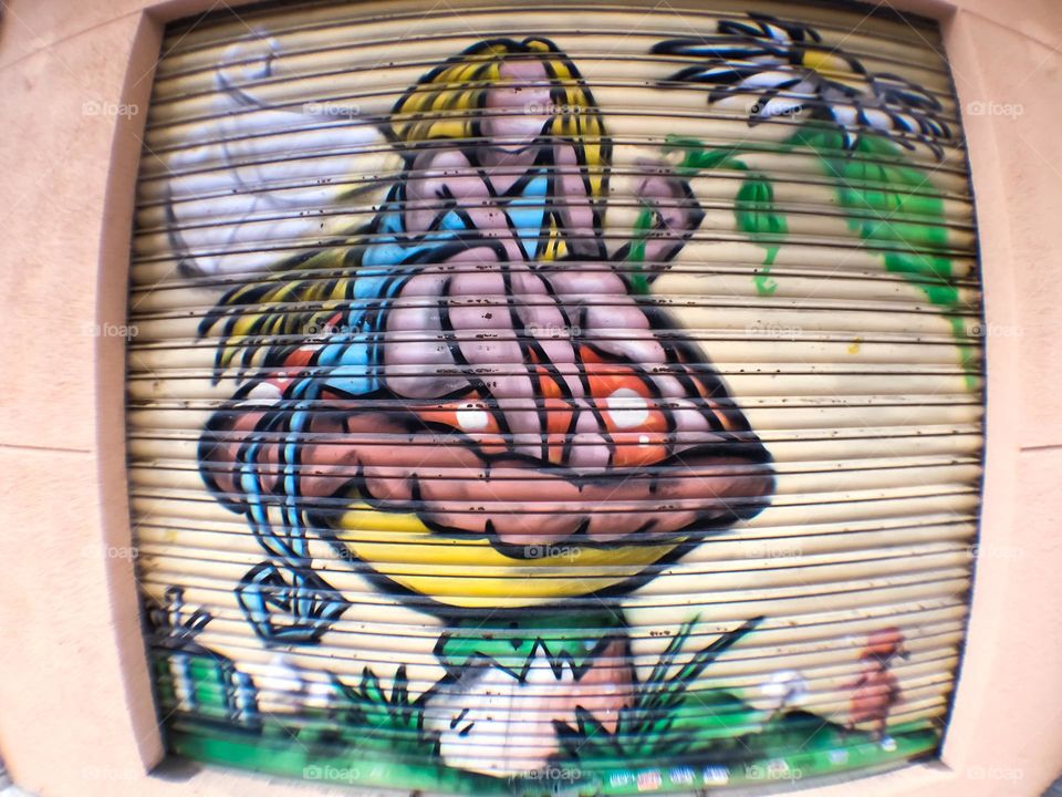 A shop shutter painted with a mural of a fairy sitting on a mushroom, through an extra wide angel lens