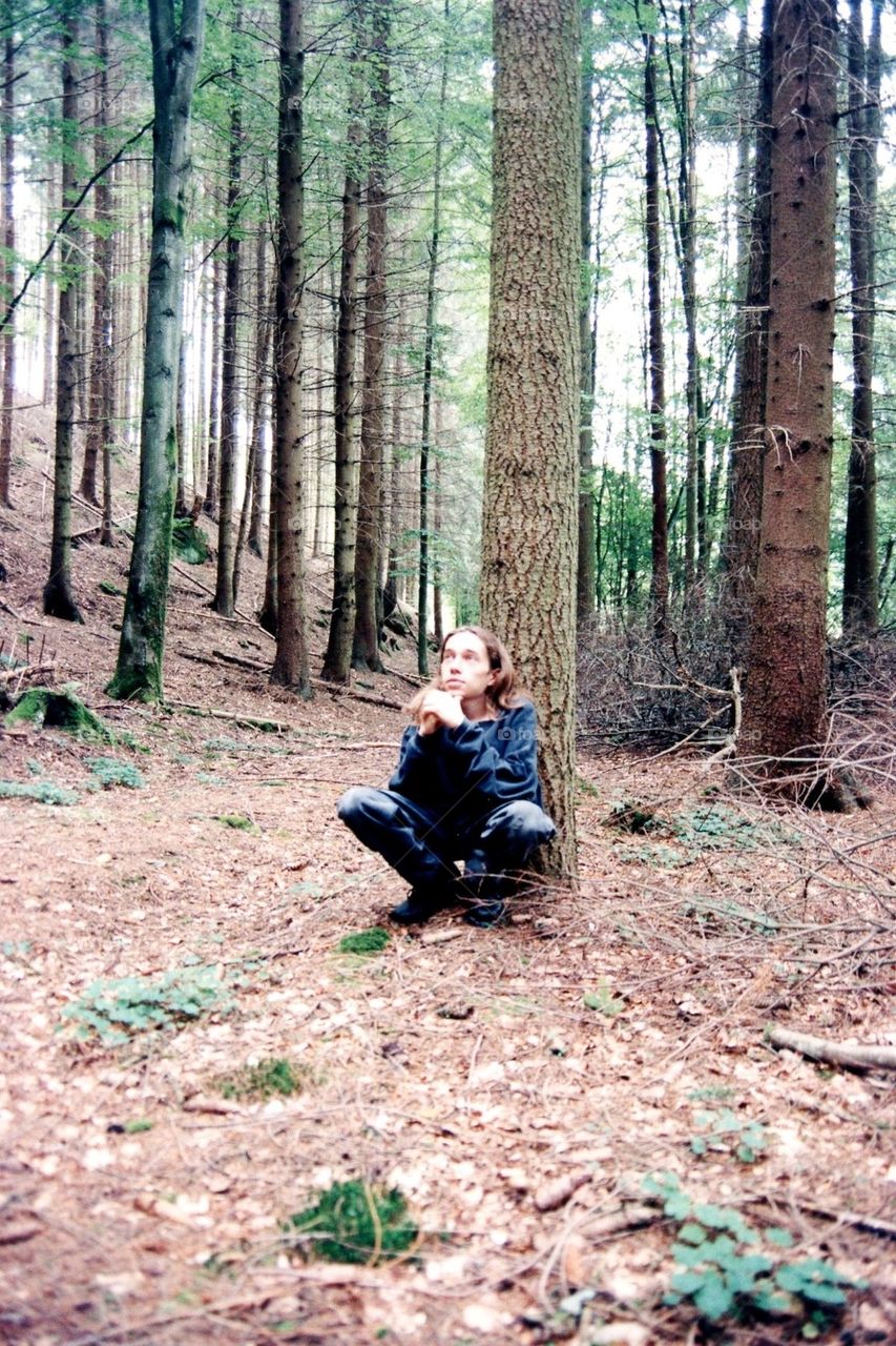 Contemplating the forest