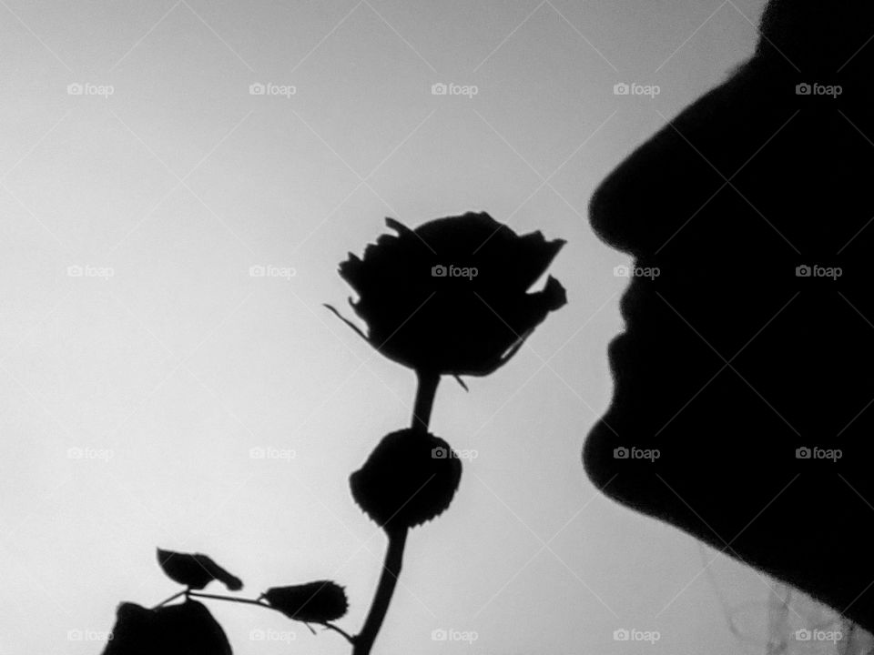 Shadow of girl smelling the rose.