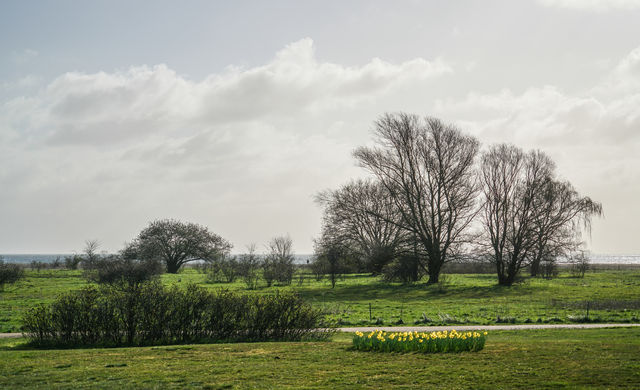 Countryside