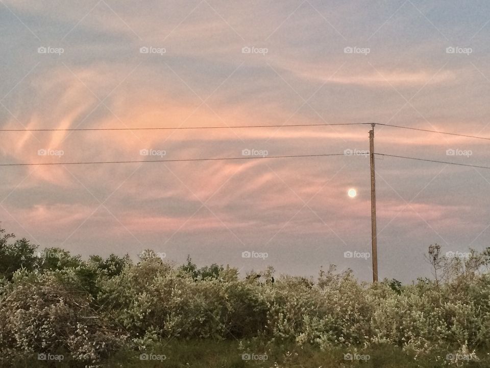 A landscape of desert shrub beneath a pink, purple, and blue sky. The sun is setting, though not visible. The evening moon is bright enough to be seen. Set in rural Texas, a powerline runs horizontally across the image.