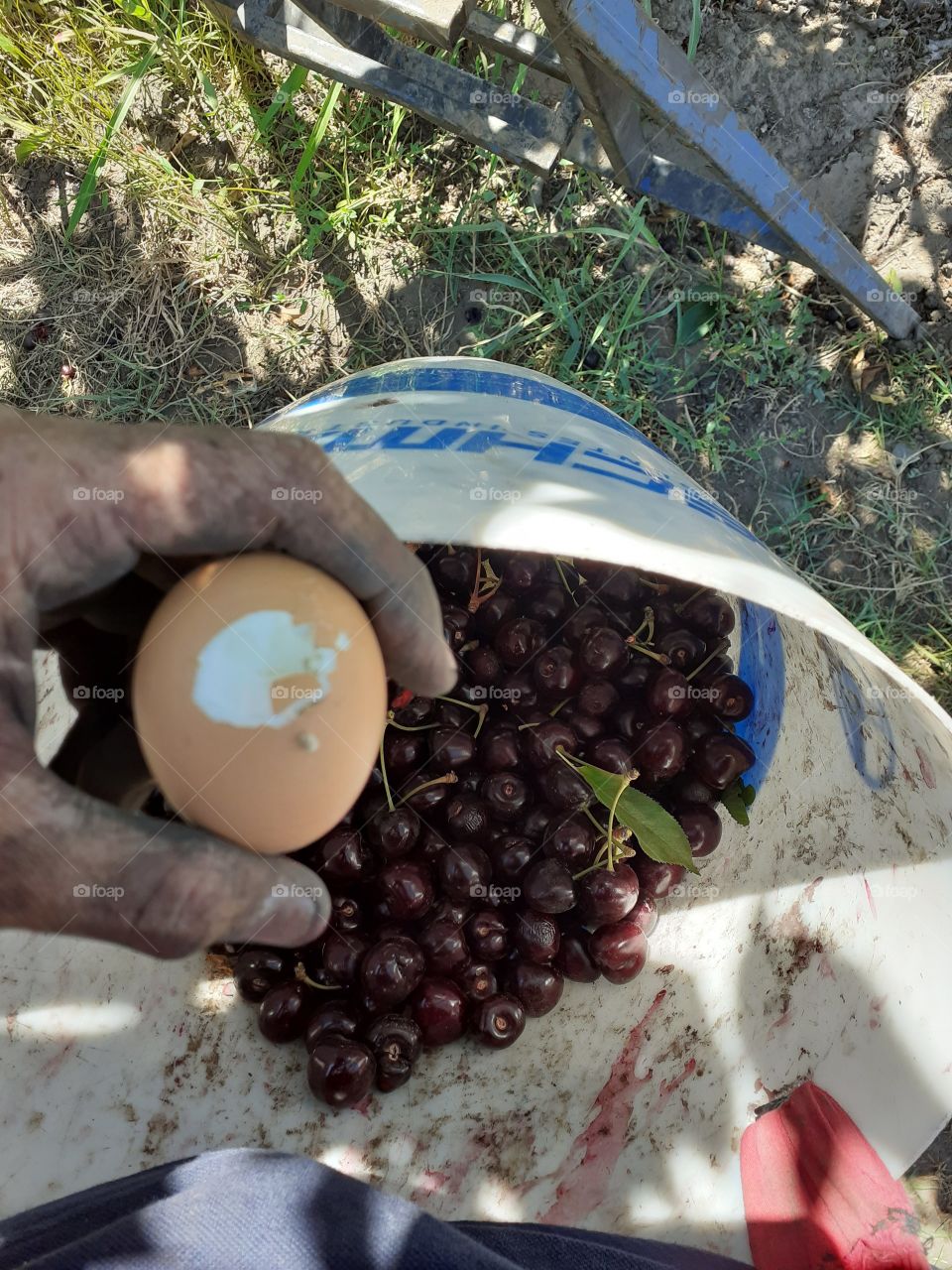 desayuno