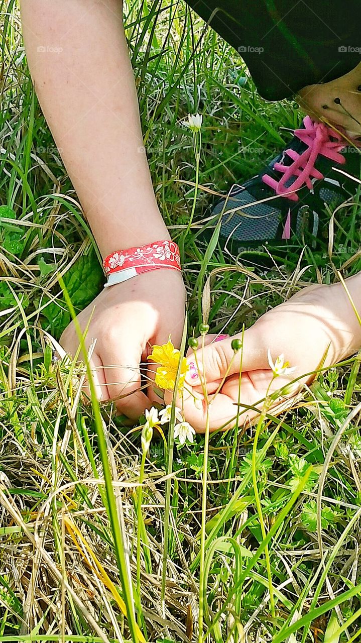 little girl bending over picking wild flowers