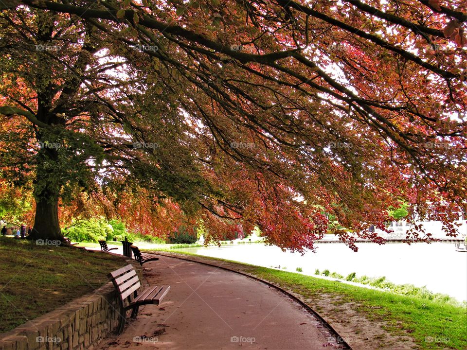 In the park