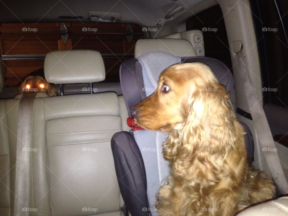 Ready for departure!