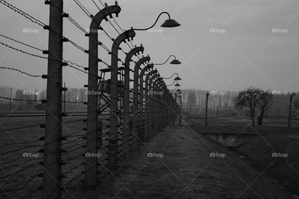 aushcwitz concentration camp barrier..