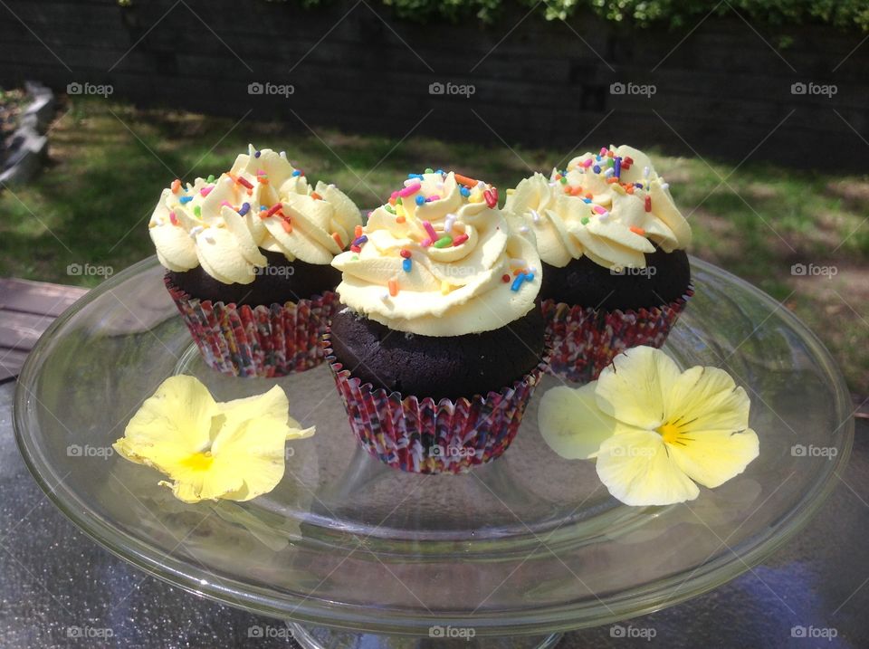 Chocolate cupcakes with rainbow sprinkles.