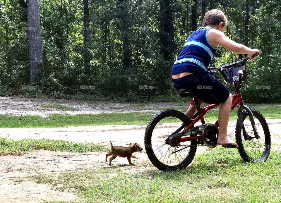 Summer time pets 
Puppy running behind kid on bike