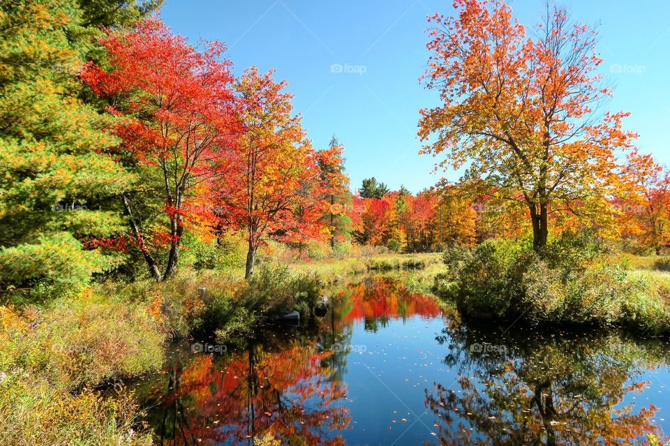 Fall colors with reflection on pond 
