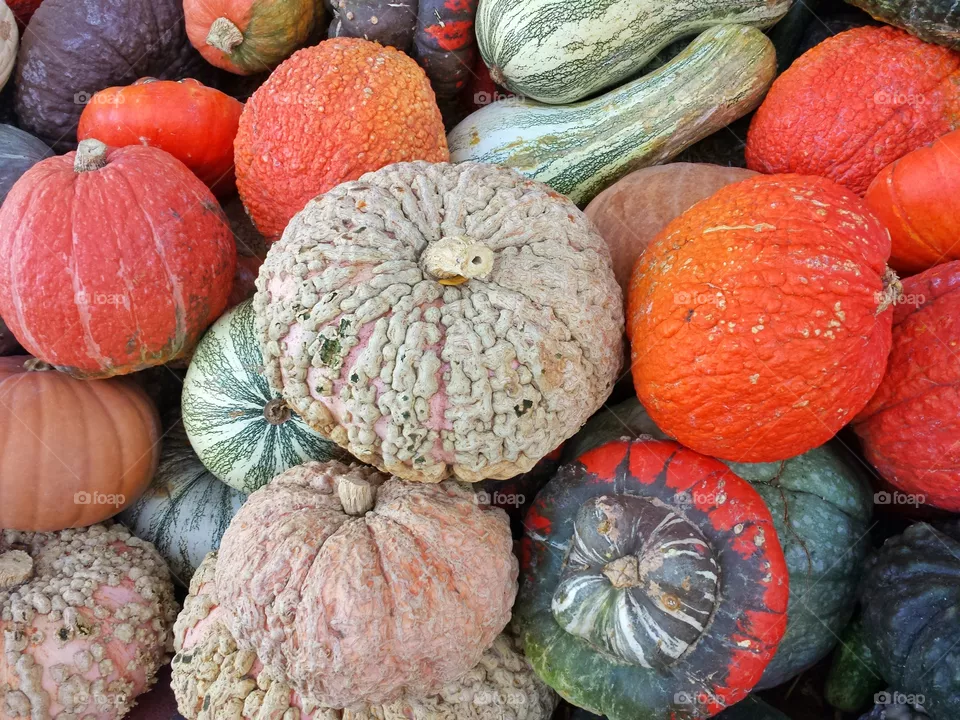 pumpkin
