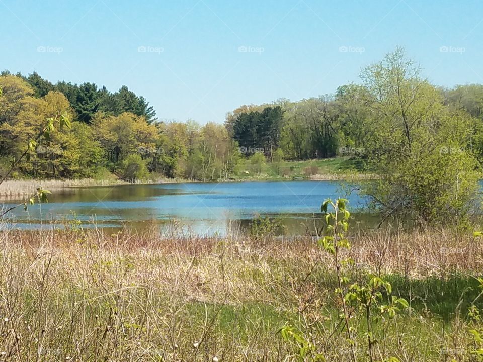 Landscape, Water, Nature, Lake, River