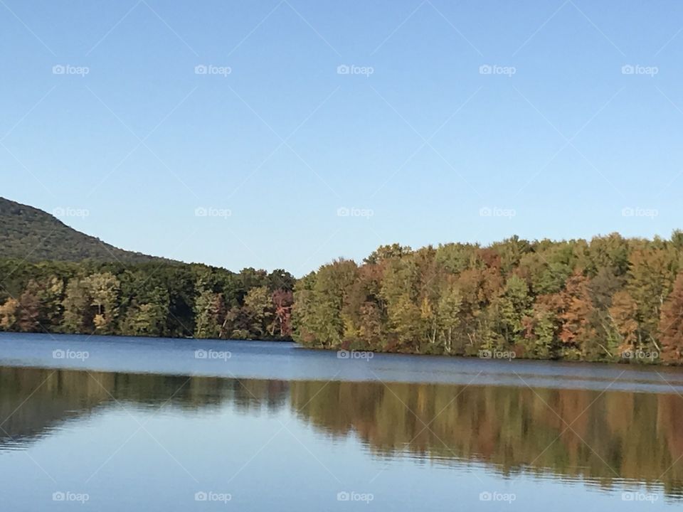 Fall leaves around the lake 