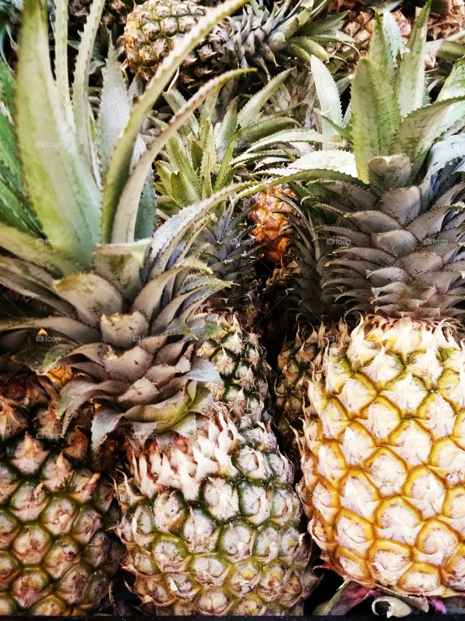 pineapple
fruit