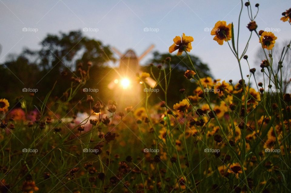 And when the sun sets, do not be afraid..