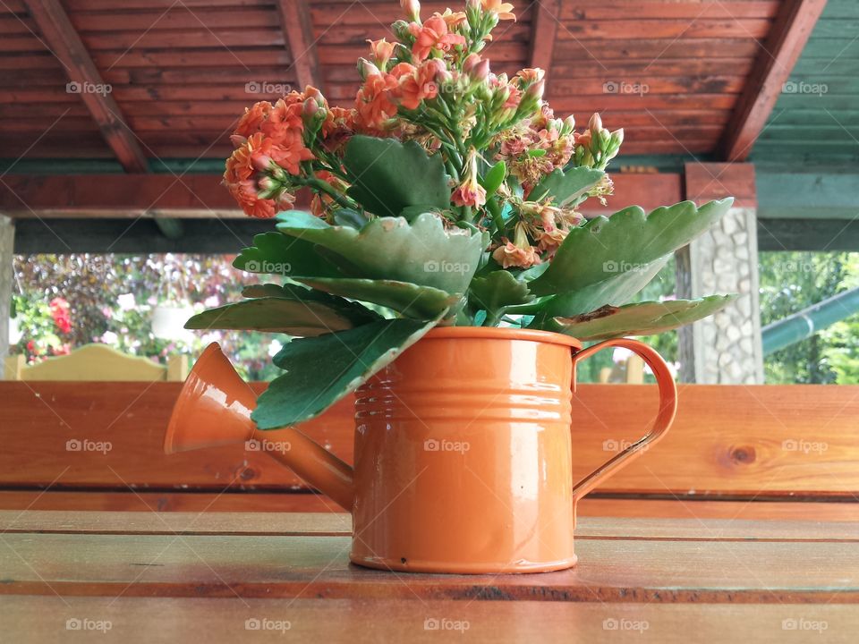 Beautiful flowers in watering can