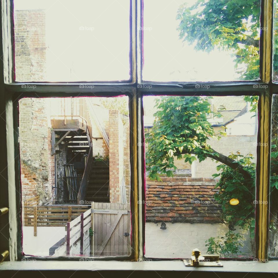 Traditional sash windows view outside