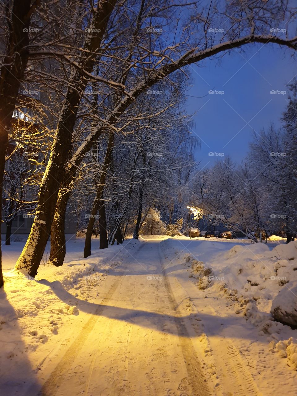 Winter fairy tale, winter, snow, evening Moscow, beautiful trees, trees in the snow