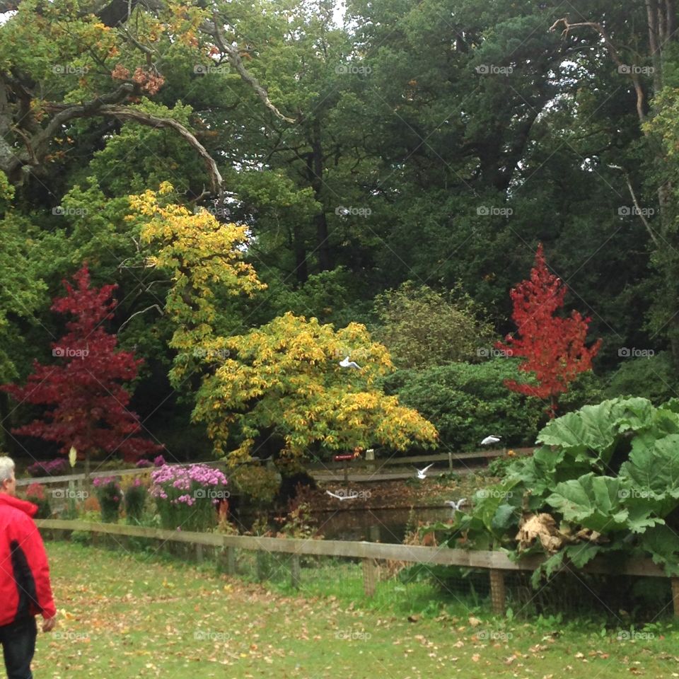 Explosion of colour. Walking through the grounds this explosion of colour stood out