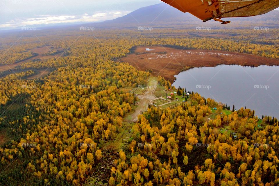 Alaskan Farm in the Fall from the Air