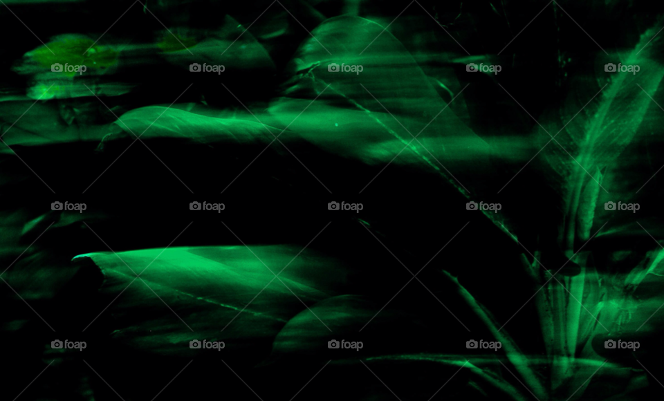 green plants leafs movement by trist9