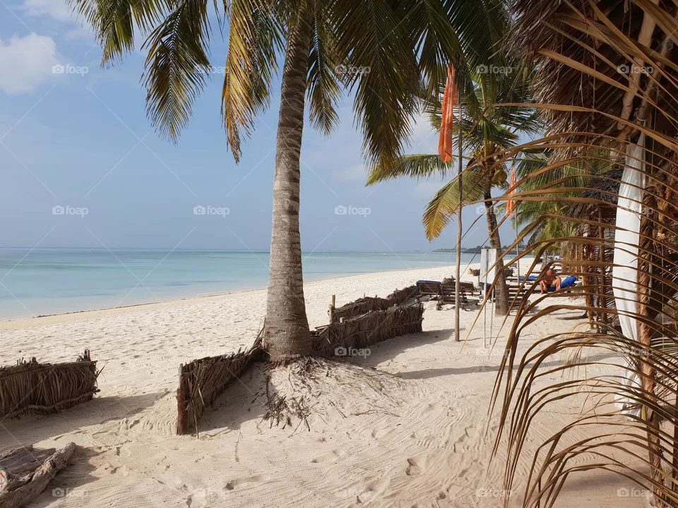 beach