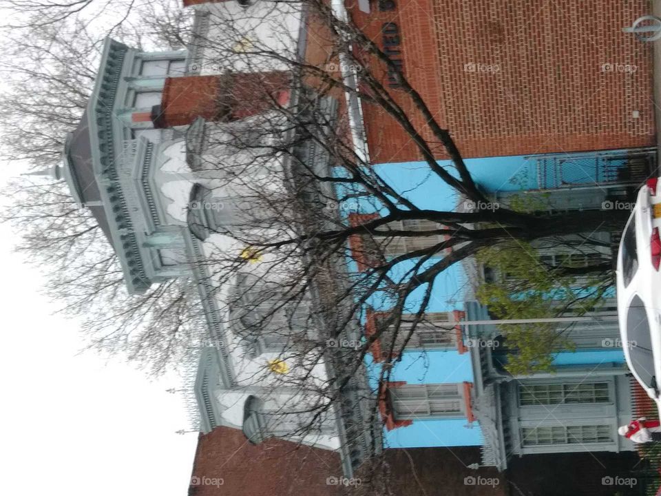 tree outside. old house