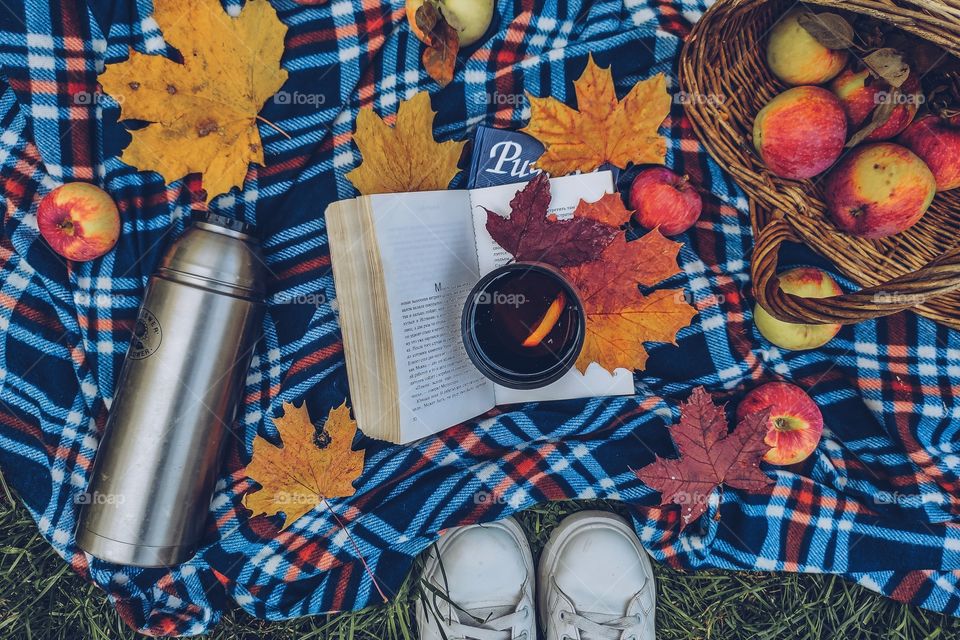 autumn picnic with autumn leaves, apples, books and tea