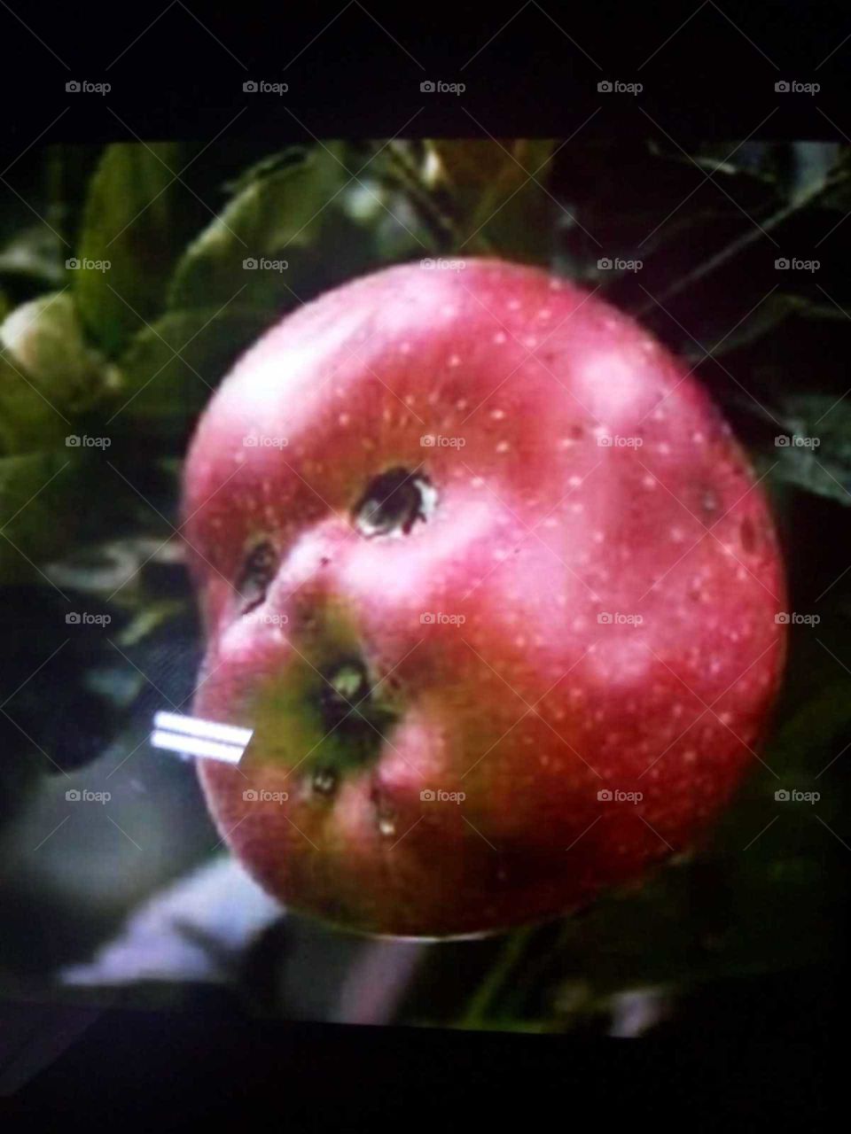 maçã com forma de rosto de criança