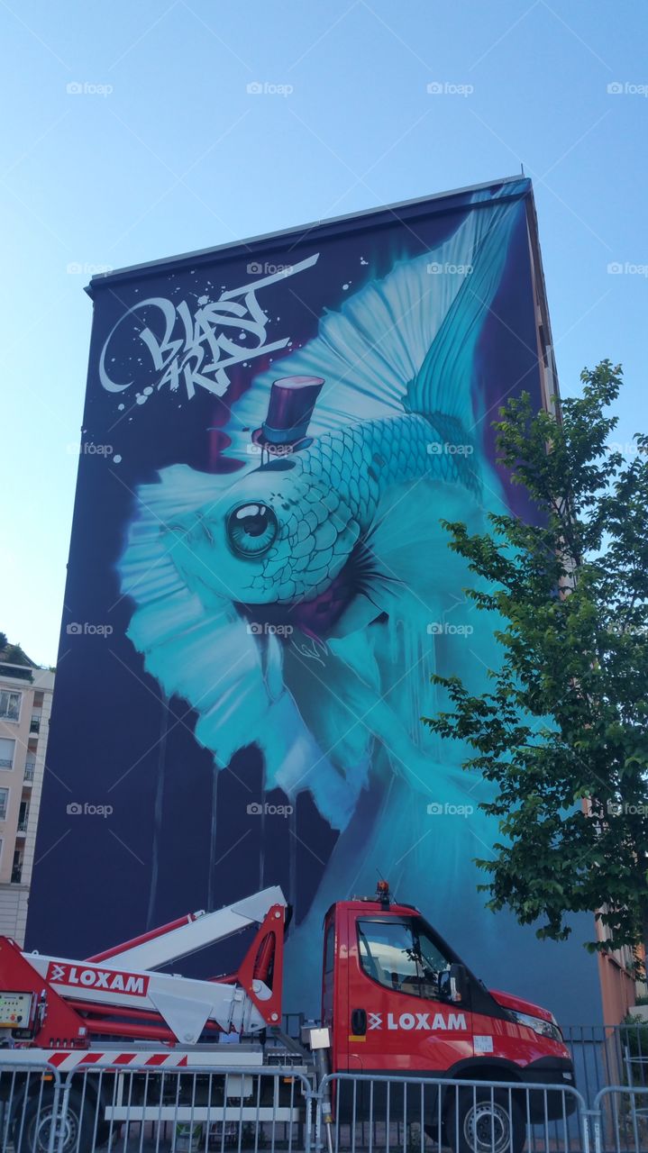 Street art, wall painting , magic , blue fish,  Lyon
