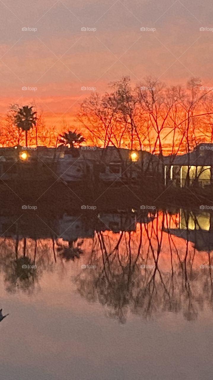 WoW What A Surprise this Evening. Here we are deluged with Heavy Rains All Day. Looked out the Window and Captivating Twilight Burning With Orange, Reds, Yellow, Deep Pinks. Total Reflections from Landscape to Lake Waters.