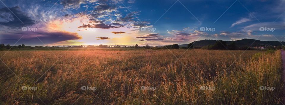 Dramatic sky over the field