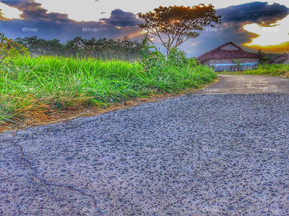 Take a walk in rice fields