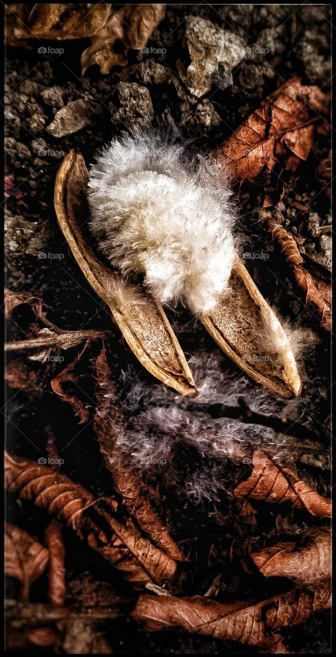 Don't be to light to be carried away by a small breeze..... be strong enough to handle a cyclone💫💫