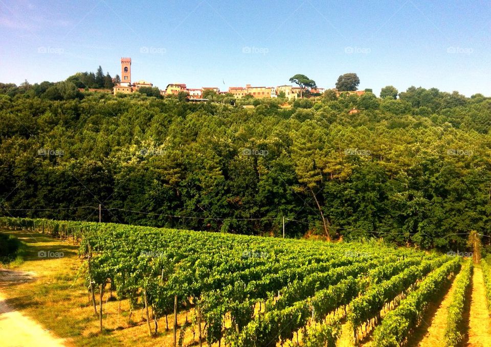 The village of Montecarlo, Tuscany, Italy