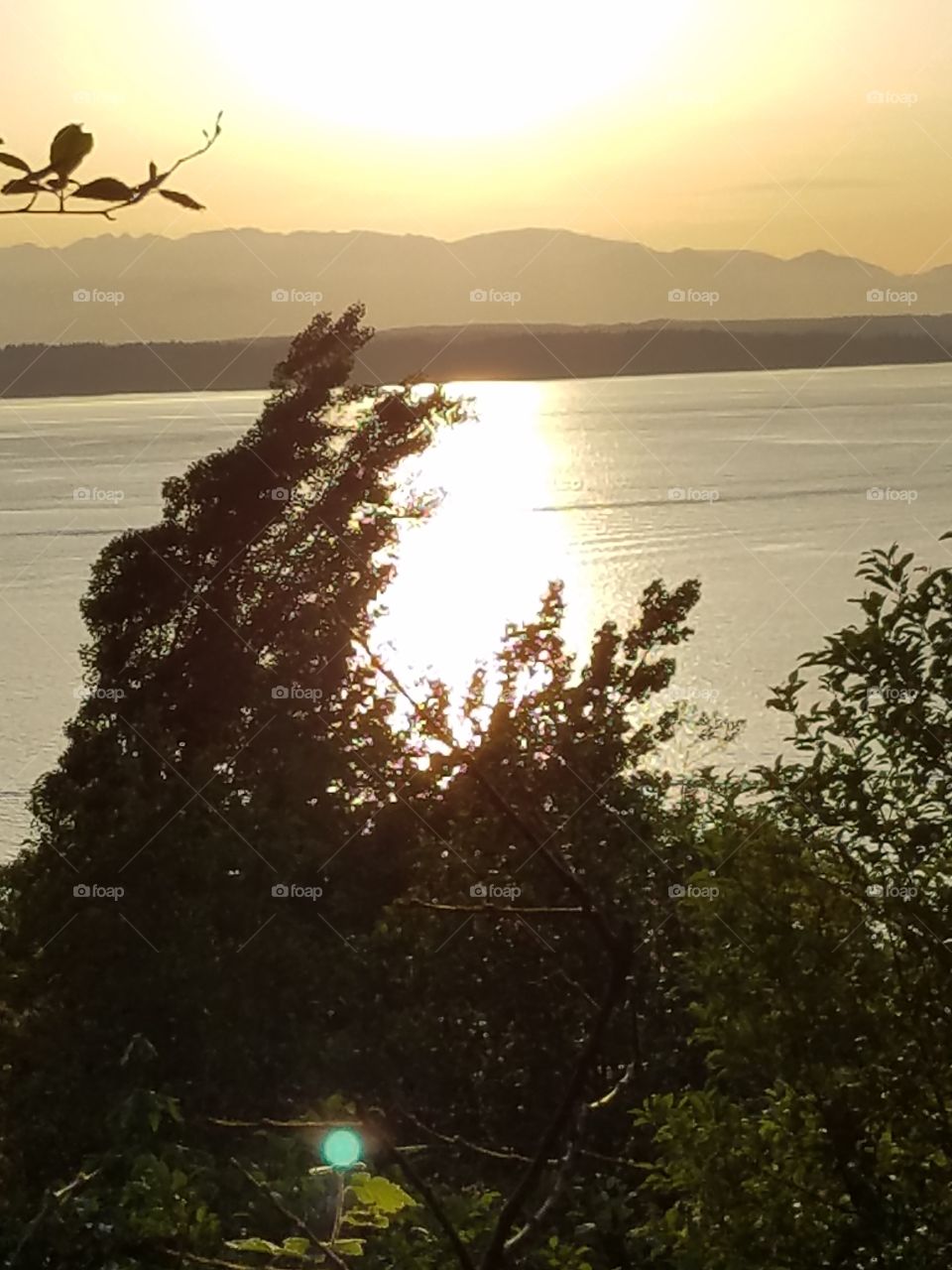 setting sun over Olympic Mountains reflecting off of Puget Sound ALSO FEATURED: green orb
