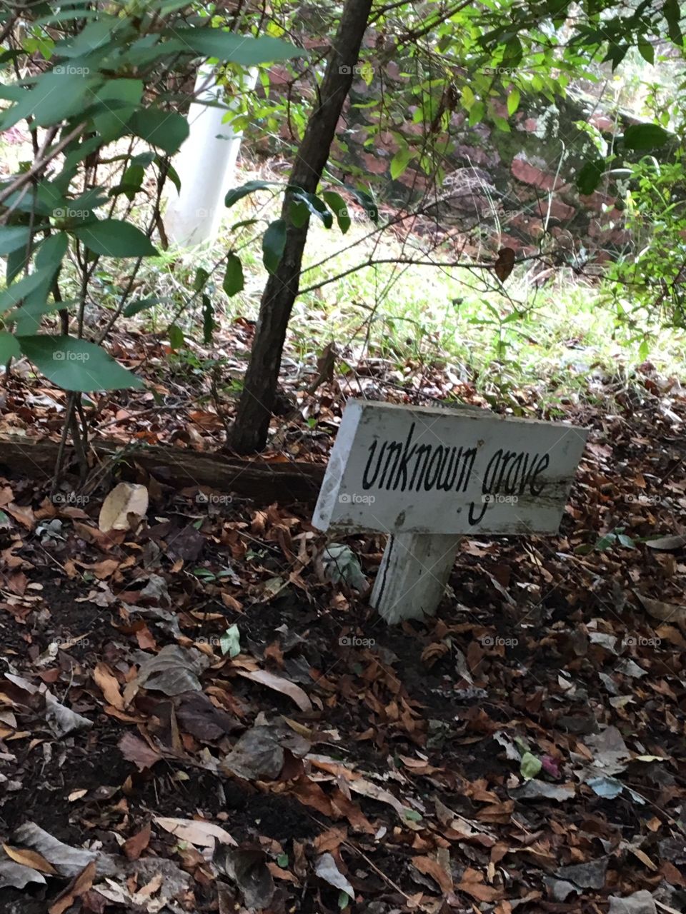 Unknown grave at island cemetery 