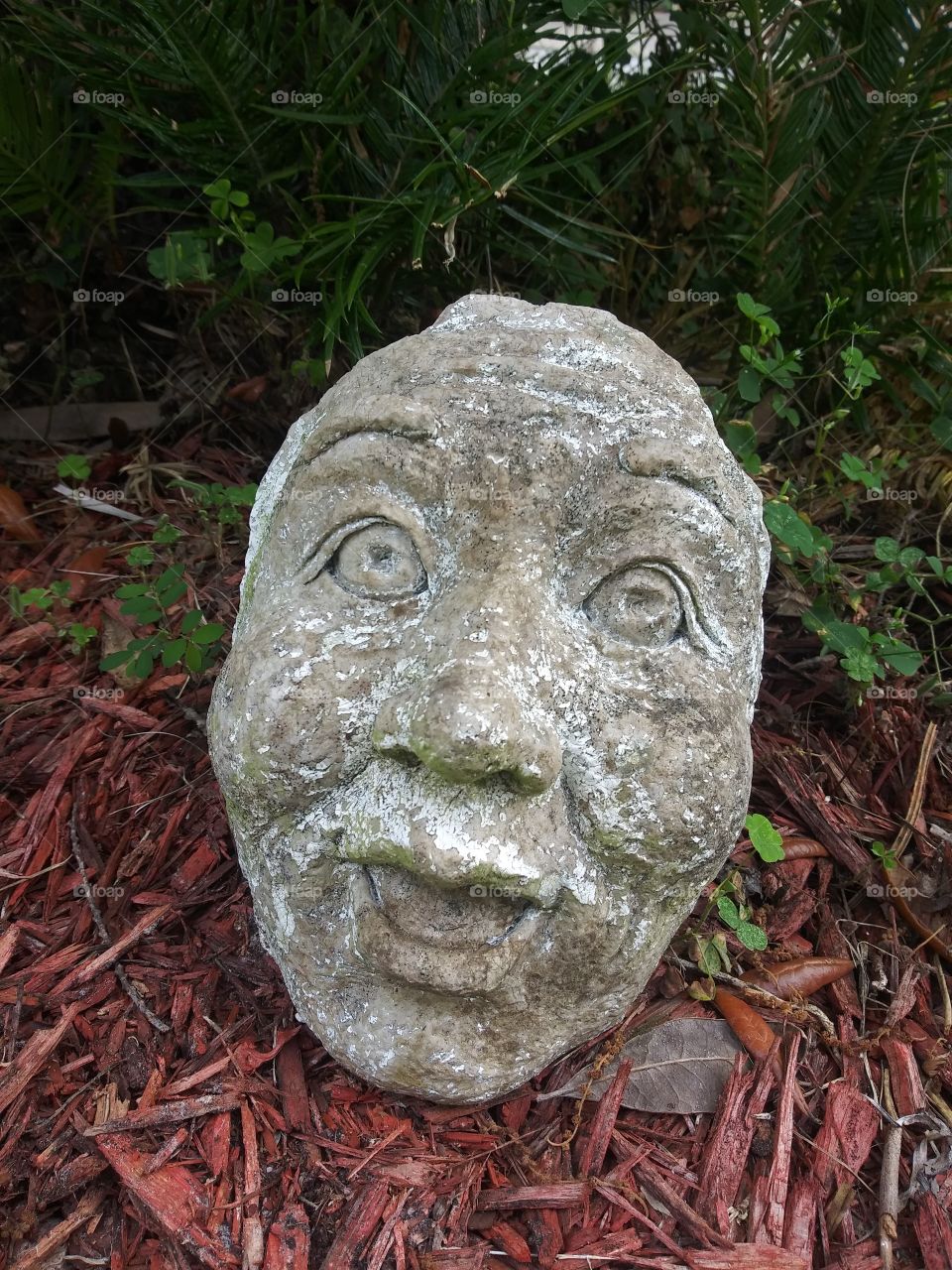 Stone face still life